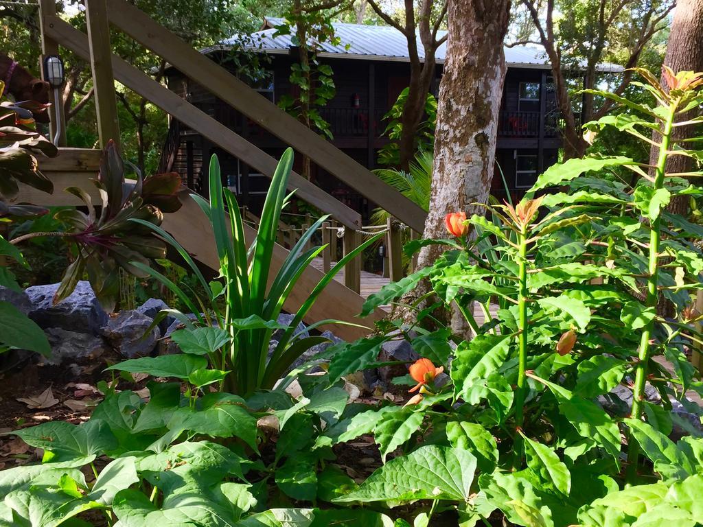 Upachaya Eco-Lodge & Wellness Resort Mud Hole Exterior photo