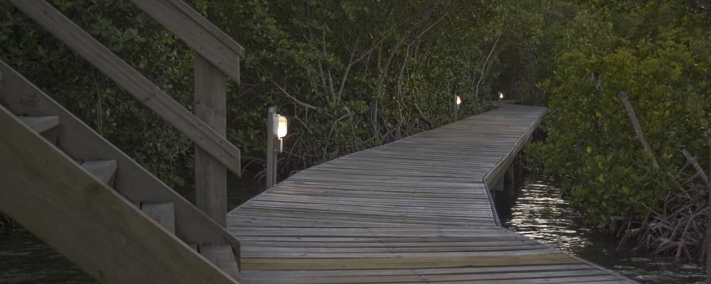 Upachaya Eco-Lodge & Wellness Resort Mud Hole Exterior photo