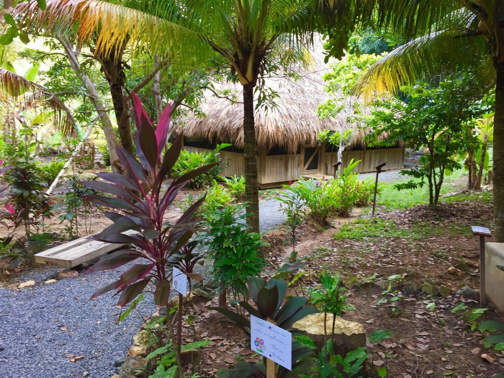 Upachaya Eco-Lodge & Wellness Resort Mud Hole Exterior photo