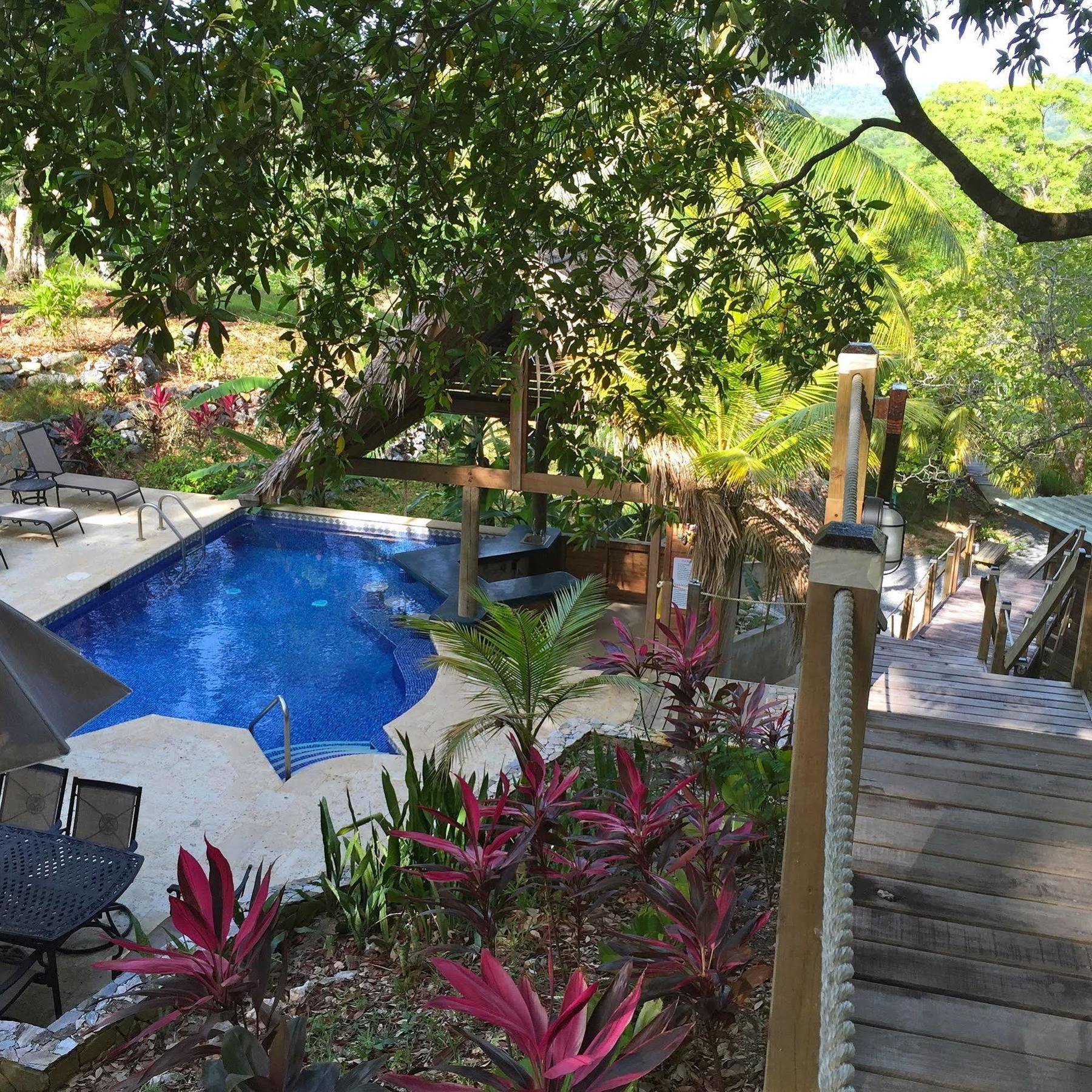 Upachaya Eco-Lodge & Wellness Resort Mud Hole Exterior photo