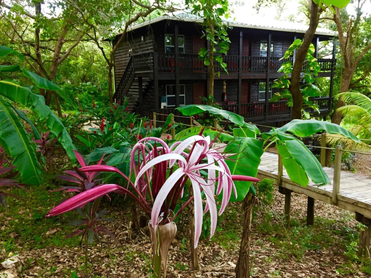 Upachaya Eco-Lodge & Wellness Resort Mud Hole Exterior photo